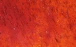 Stamped, Stained, and Sealed Decorative Concrete